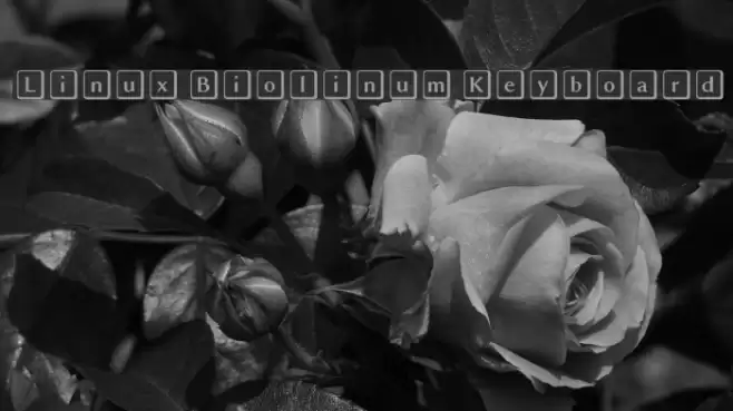 Linux Biolinum Keyboard خط examples