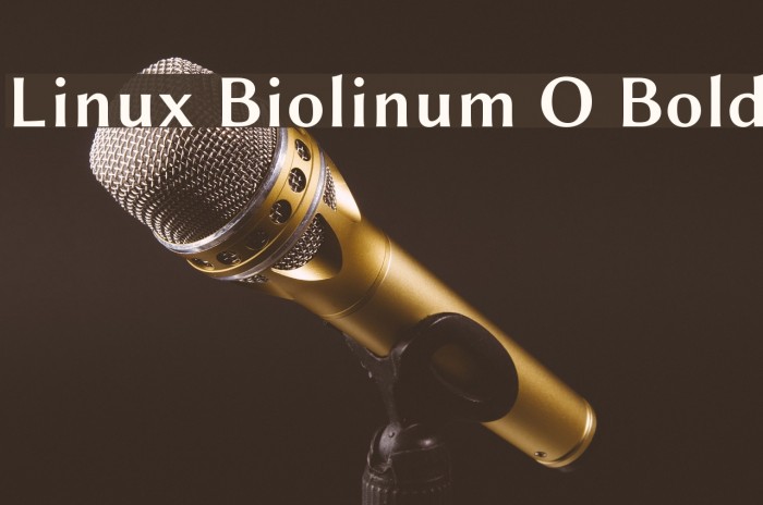 Linux Biolinum O Bold Example 1