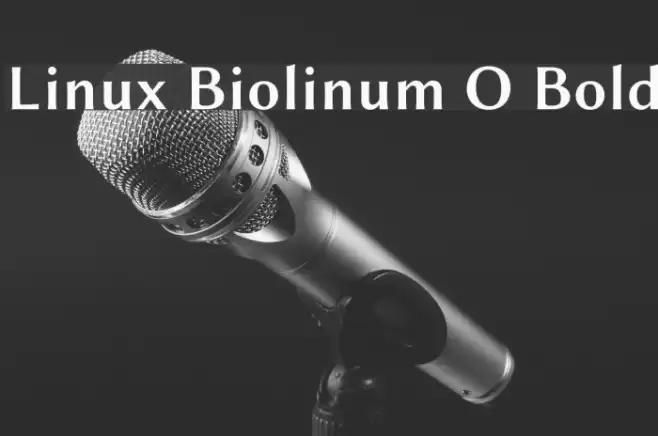 Linux Biolinum O Bold Font examples