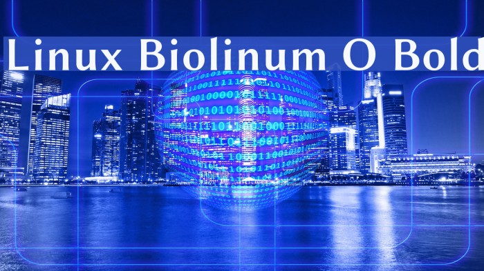 Linux Biolinum O Bold Example 2
