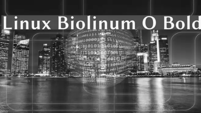 Linux Biolinum O Bold Font examples