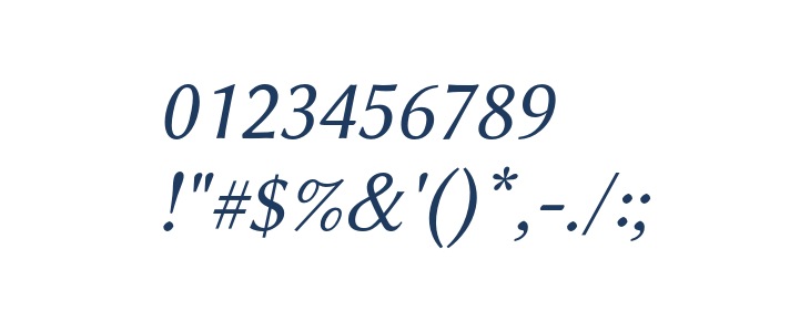 Linux Biolinum O Italic1 Other Characters