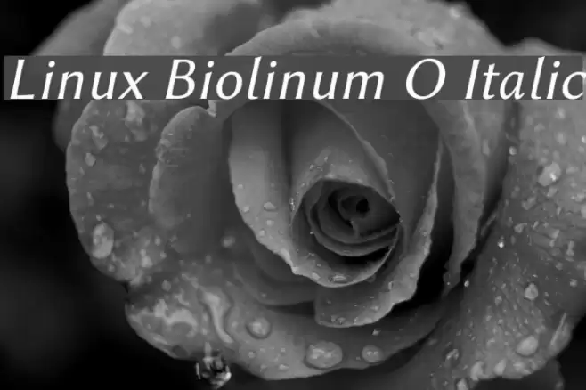 Linux Biolinum O Italic Polices examples