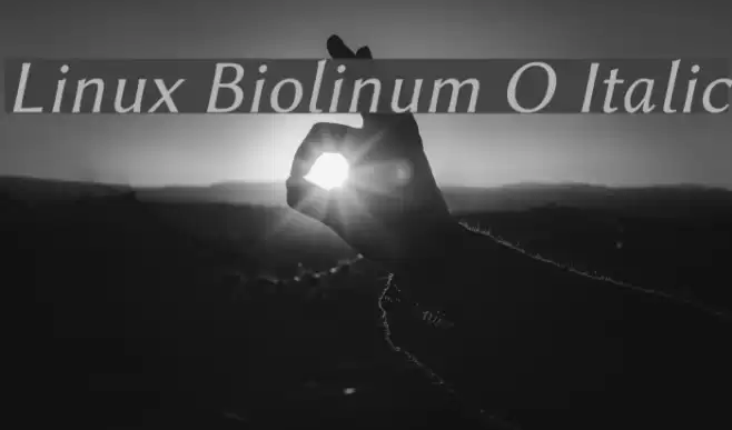 Linux Biolinum O Italic Polices examples