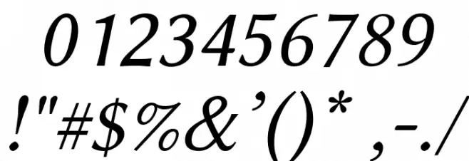 Linux Biolinum O Slanted Font OTHER CHARS