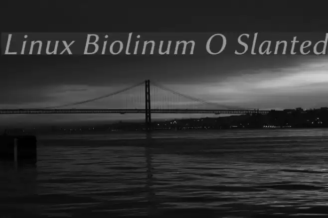 Linux Biolinum O Slanted Font examples
