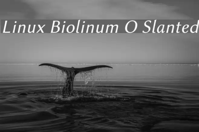 Linux Biolinum O Slanted Font examples