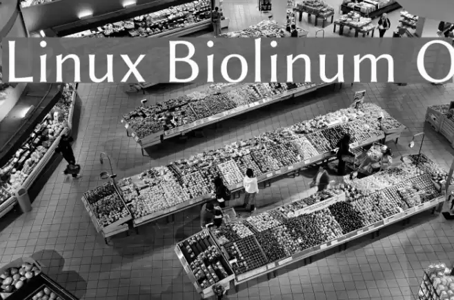 Linux Biolinum O Font examples