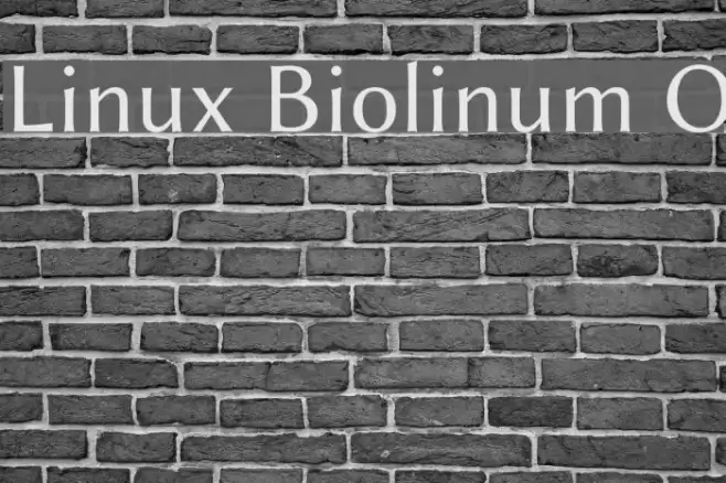 Linux Biolinum O Font examples