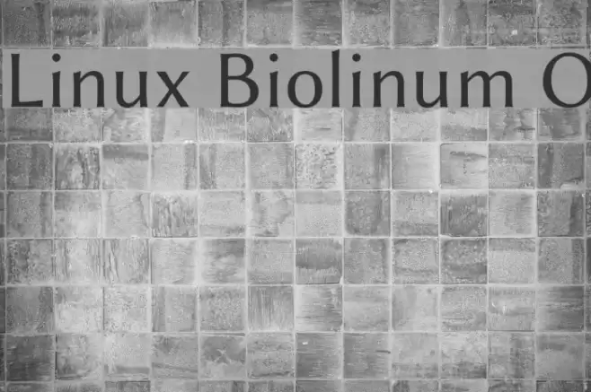Linux Biolinum O Font examples