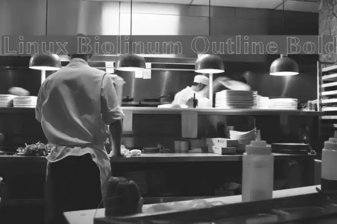 Linux Biolinum Outline Bold Font examples