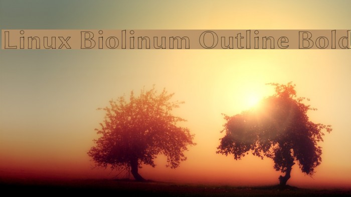 Linux Biolinum Outline Bold Font examples