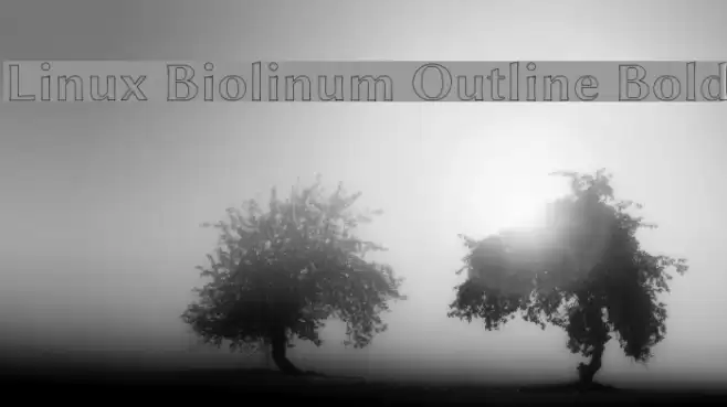 Linux Biolinum Outline Bold Font examples