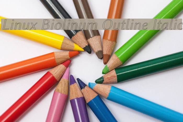Linux Biolinum Outline Italic Font examples