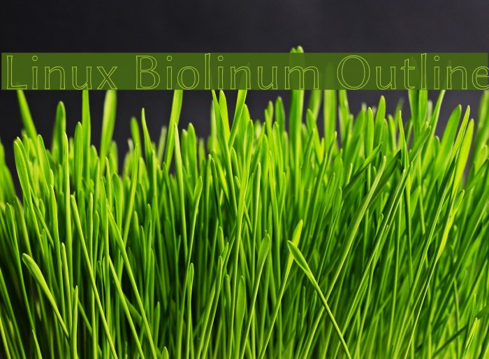 Linux Biolinum Outline Font examples