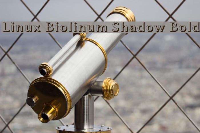 Linux Biolinum Shadow Bold Font examples