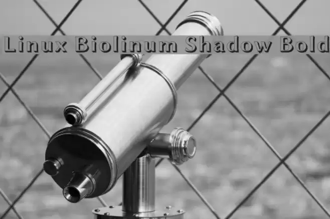 Linux Biolinum Shadow Bold Font examples