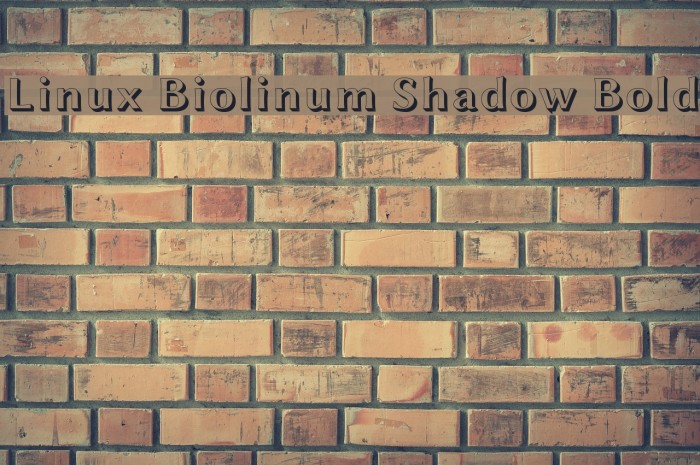 Linux Biolinum Shadow Bold Font examples