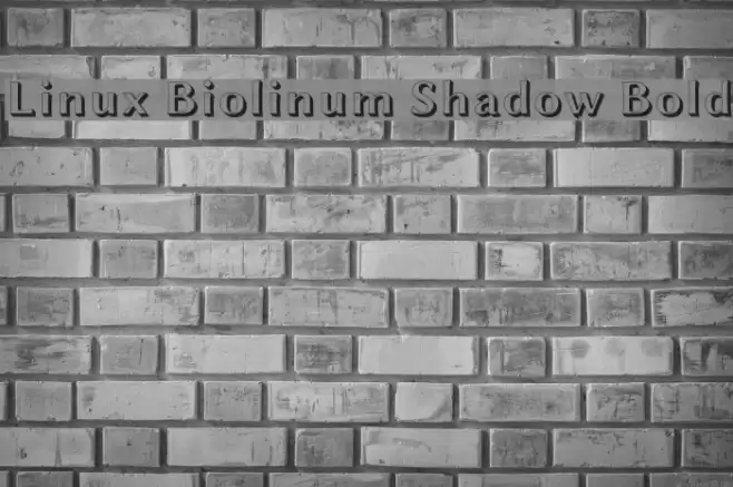 Linux Biolinum Shadow Bold Font examples