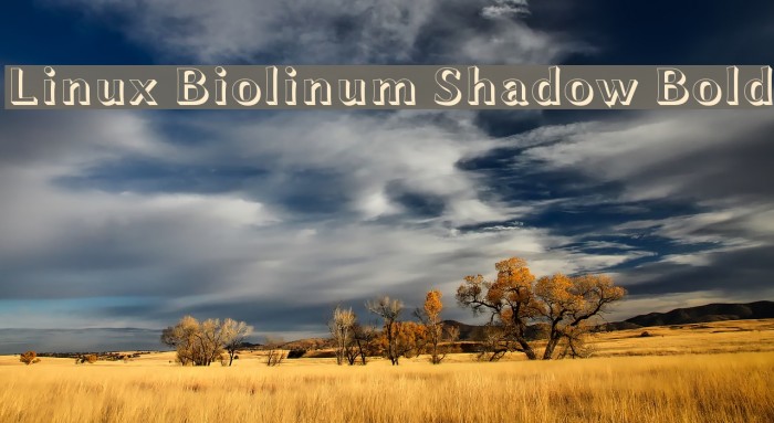 Linux Biolinum Shadow Bold Font examples