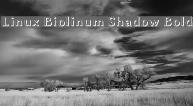 Linux Biolinum Shadow Bold Font examples