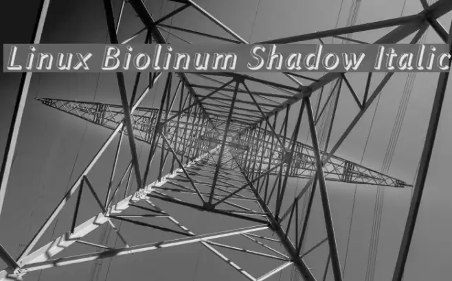 Linux Biolinum Shadow Italic Font examples