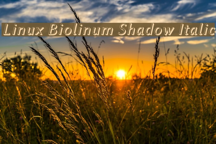 Linux Biolinum Shadow Italic Example 2