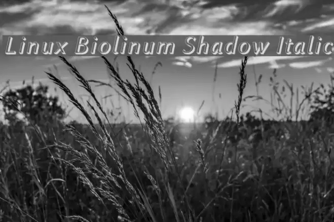 Linux Biolinum Shadow Italic Font examples