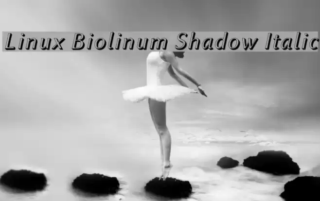 Linux Biolinum Shadow Italic Font examples