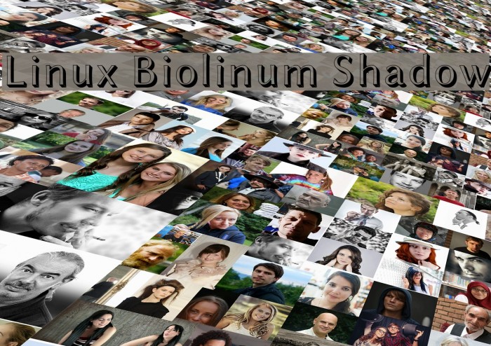 Linux Biolinum Shadow Font examples