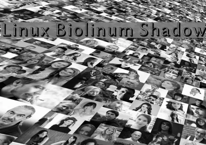 Linux Biolinum Shadow Example 1