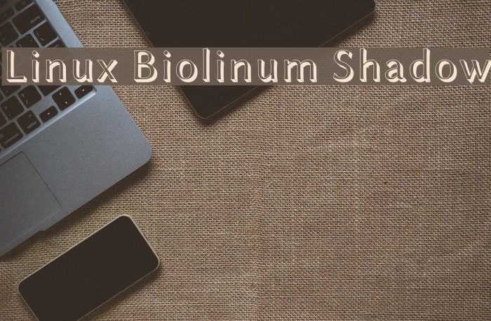 Linux Biolinum Shadow Font examples