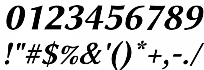 Linux Biolinum Slanted Bold Font OTHER CHARS