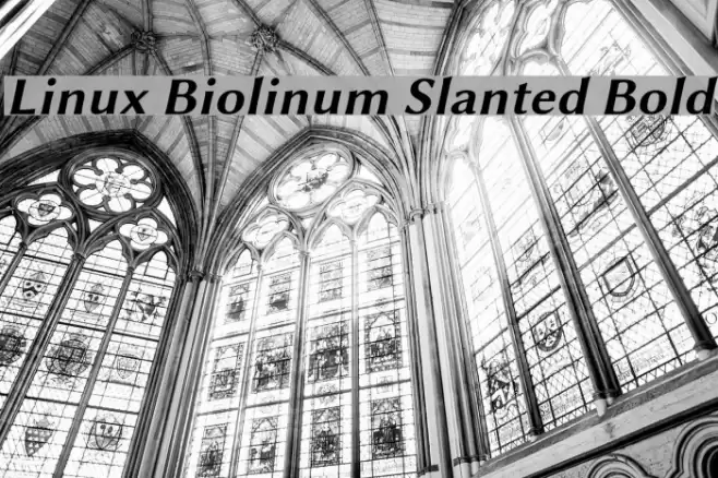 Linux Biolinum Slanted Bold Font examples