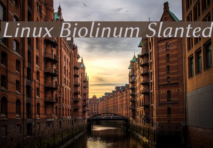 Linux Biolinum Slanted Font examples