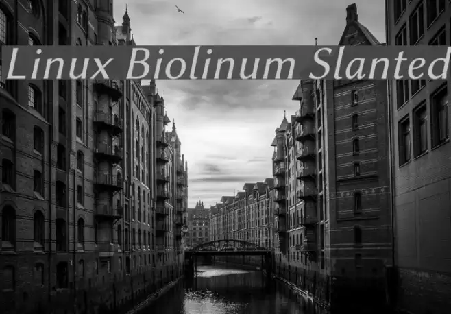 Linux Biolinum Slanted Example 1