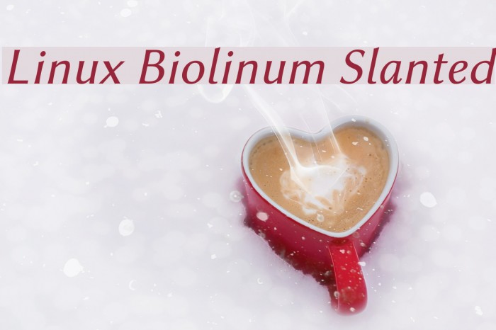 Linux Biolinum Slanted Font examples
