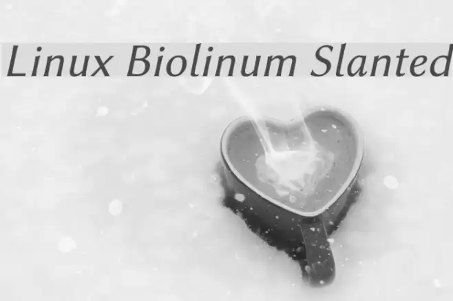 Linux Biolinum Slanted Example 2
