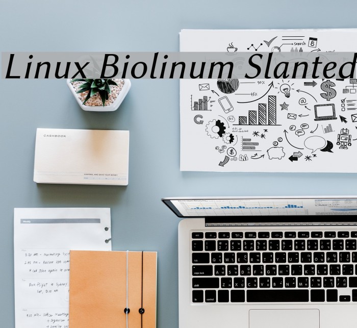 Linux Biolinum Slanted Font examples