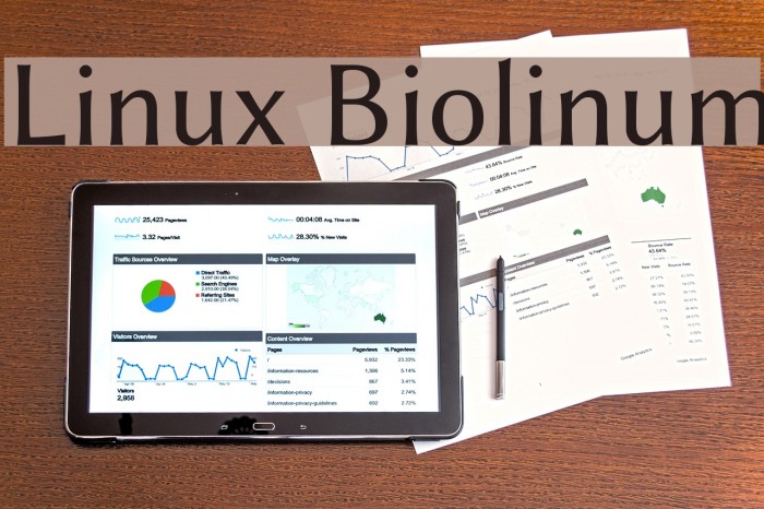 Linux Biolinum Font examples