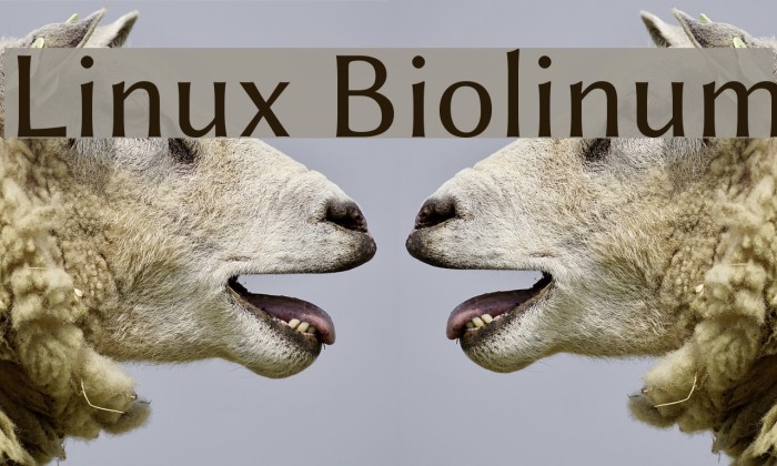 Linux Biolinum Font examples