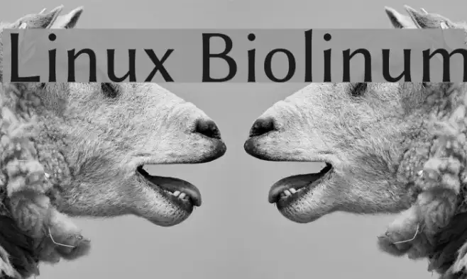 Linux Biolinum Example 2