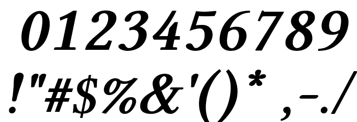 Linux Libertine Bold Italic Font OTHER CHARS