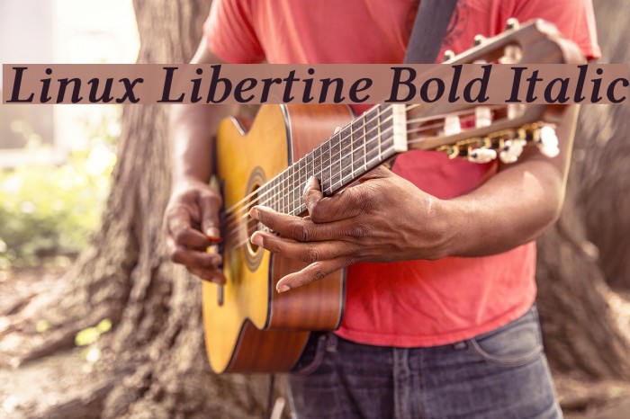 Linux Libertine Bold Italic Font examples