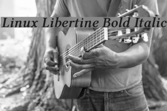 Linux Libertine Bold Italic Fuentes examples