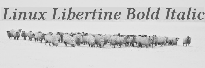 Linux Libertine Bold Italic Font examples