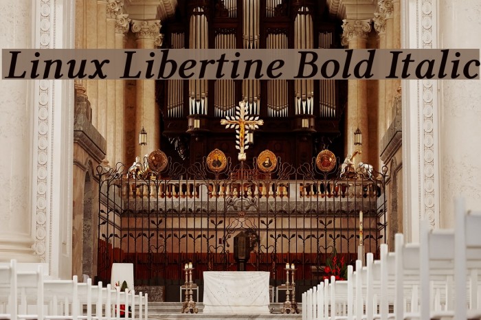 Linux Libertine Bold Italic Font examples