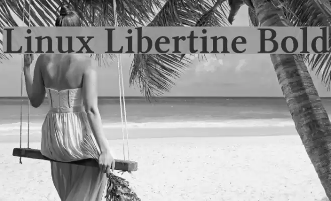 Linux Libertine Bold Font examples