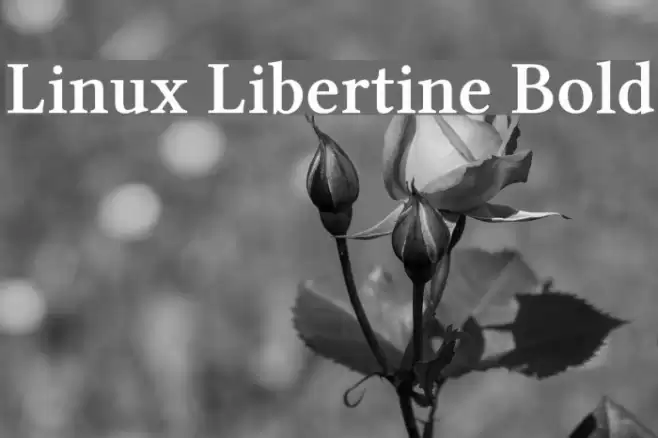 Linux Libertine Bold Font examples