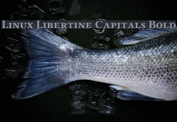 Linux Libertine Capitals Bold Font examples